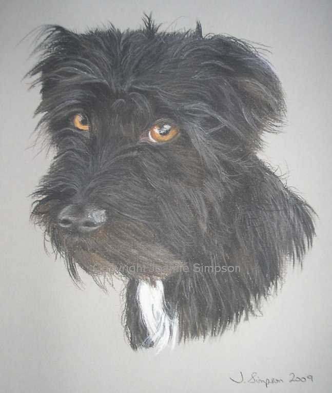 Patterdale Terrier cross pet portrait by Joanne Simpson